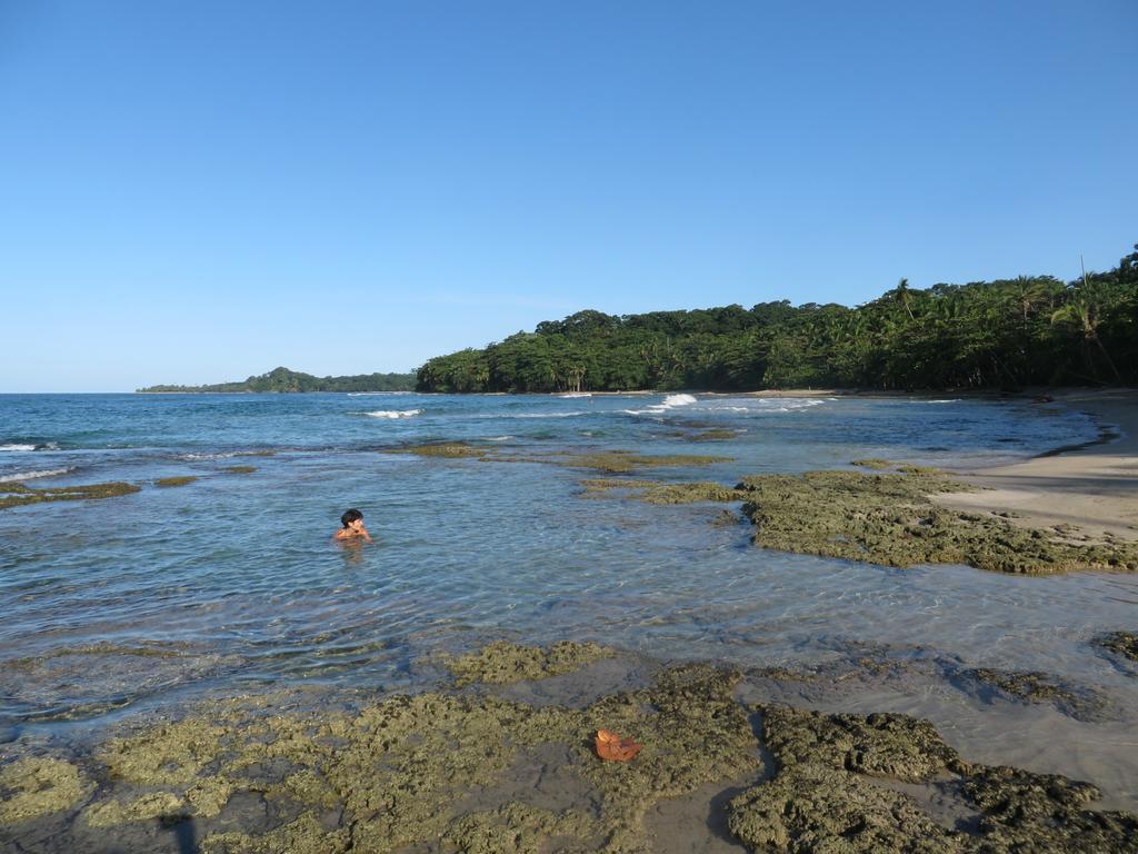 La Kukula Lodge Puerto Viejo de Talamanca ภายนอก รูปภาพ