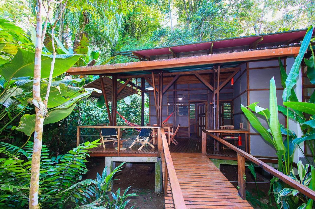 La Kukula Lodge Puerto Viejo de Talamanca ภายนอก รูปภาพ