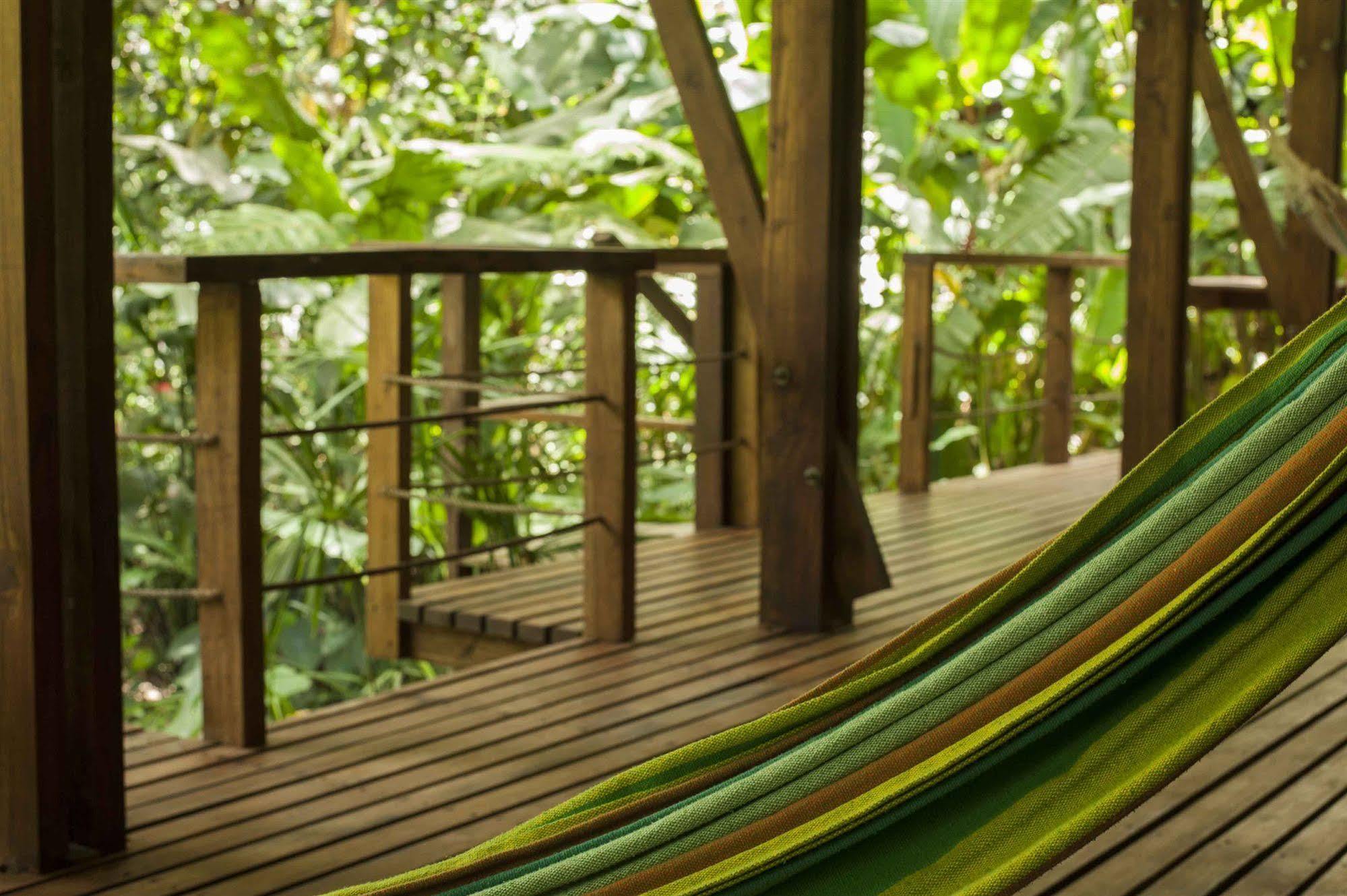 La Kukula Lodge Puerto Viejo de Talamanca ภายนอก รูปภาพ