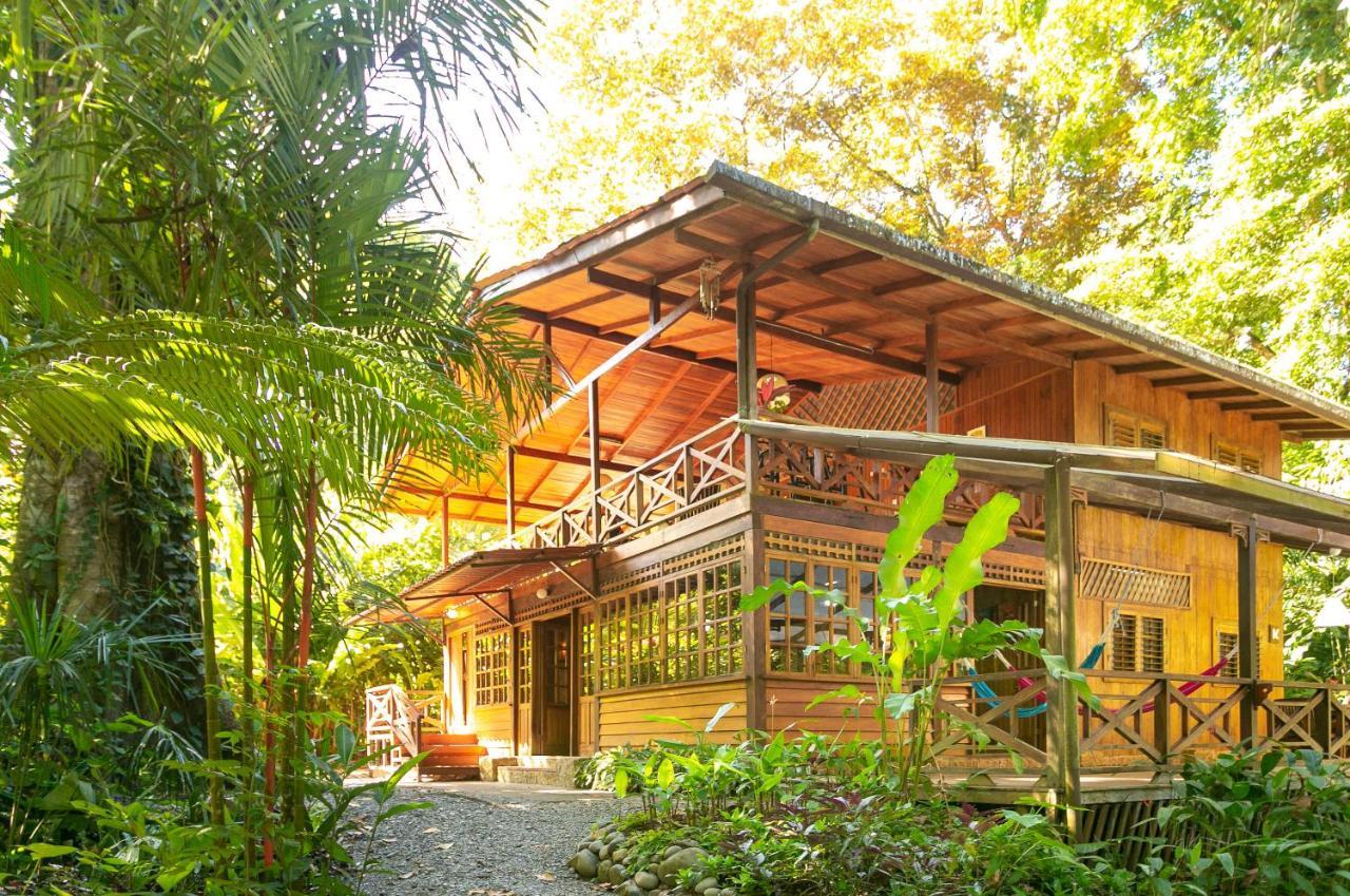 La Kukula Lodge Puerto Viejo de Talamanca ภายนอก รูปภาพ