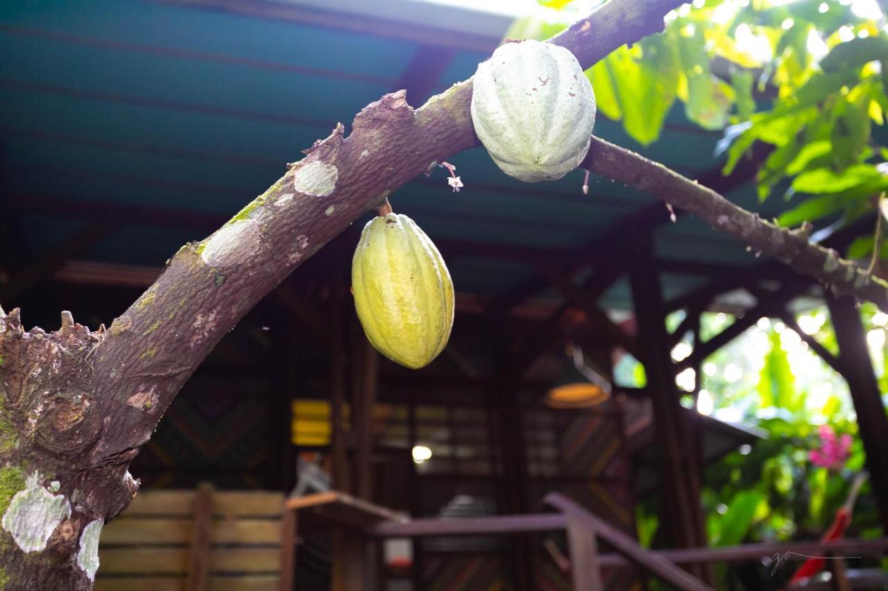 La Kukula Lodge Puerto Viejo de Talamanca ภายนอก รูปภาพ